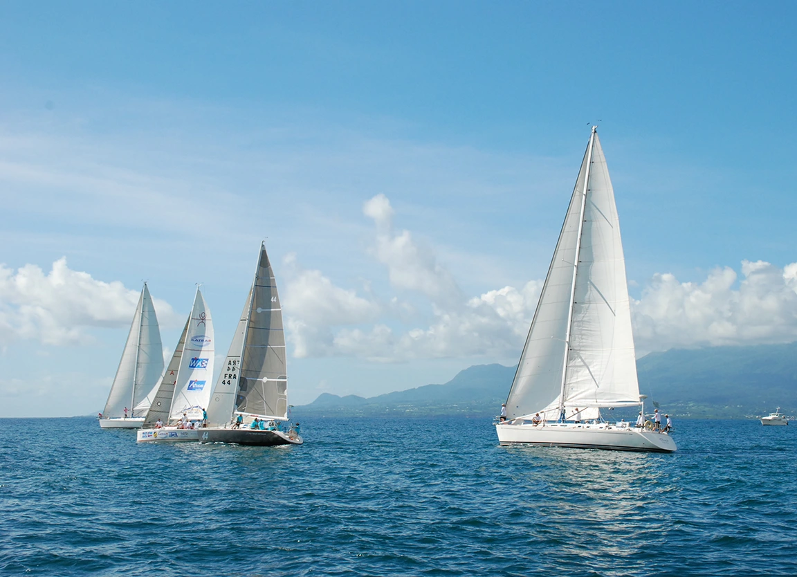 La passion de la voile