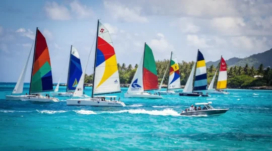 Flotte de voiliers multicolores toutes voiles dehors dans les eaux turquoise des Caraïbes lors d'une régate festive