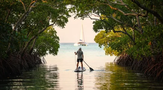 Silhouette d'un pratiquant de stand-up paddle explorant un chenal de mangrove tropicale à l'aube, voilier ancré au loin