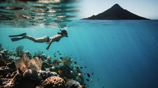 Nageur en randonnée palmée observant un récif corallien coloré dans une eau turquoise des Antilles