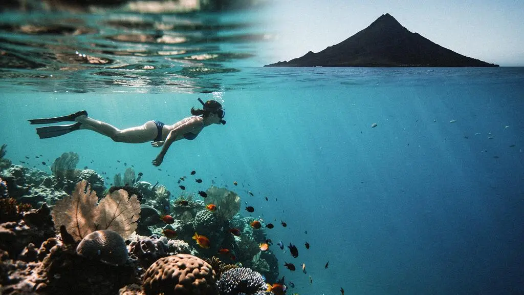 Nageur en randonnée palmée observant un récif corallien coloré dans une eau turquoise des Antilles