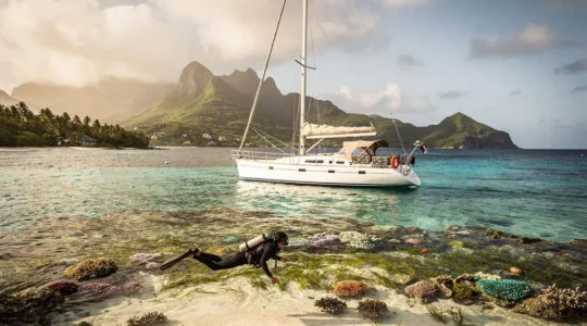 Voilier ancré à distance respectueuse d'un récif corallien dans une réserve naturelle des Antilles, eaux turquoise et végétation tropicale en arrière-plan